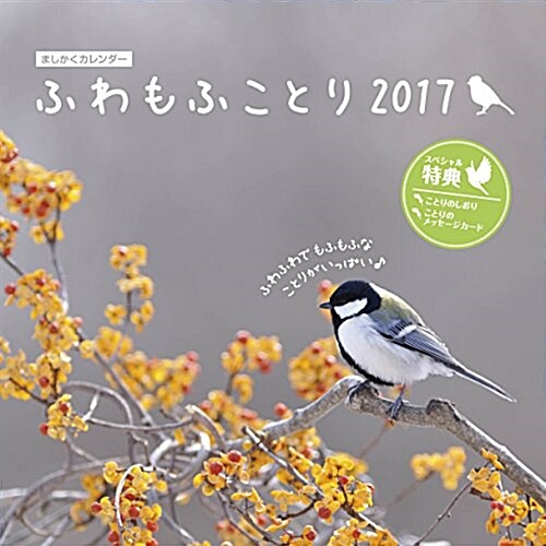 ましかくカレンダ- ふわもふことり (インプレスカレンダ-2017) (カレンダ-)