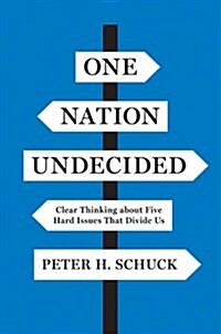 One Nation Undecided: Clear Thinking about Five Hard Issues That Divide Us (Hardcover)