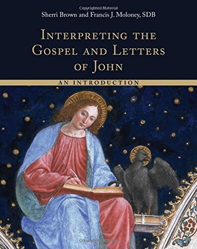 Interpreting the Gospel and Letters of John: An Introduction (Paperback)
