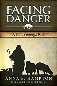 Facing Danger: A Guide Through Risk (Paperback)