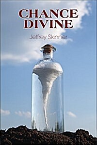 Chance Divine (Paperback)