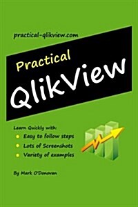 Practical QlikView (Paperback)