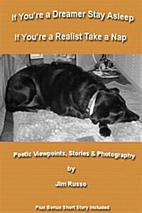 If Youre a Dreamer Stay Asleep If Youre a Realist Take a Nap (Paperback)