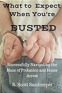 What to Expect When Youre Busted: Successfully Navigating the Maze of Probation and House Arrest (Paperback)