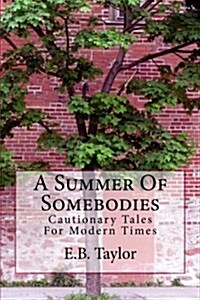 A Summer of Somebodies (Paperback)