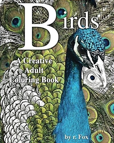 Birds: A Creative Adult Coloring Book (Paperback)