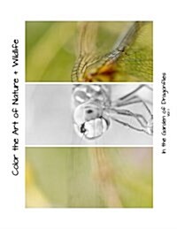 In the Garden of Dragonflies: Color the Art of Nature + Wildlife (Paperback)