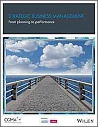 Strategic Business Management: From Planning to Performance (Paperback)