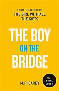 The Boy on the Bridge (Hardcover)