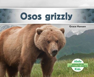 Osos Grizzly (Grizzly Bears) (Spanish Version) (Library Binding)
