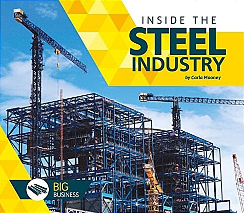 Inside the Steel Industry (Library Binding)