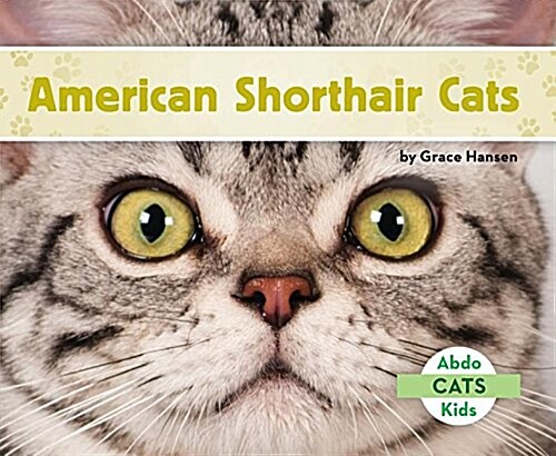 American Shorthair Cats (Library Binding)
