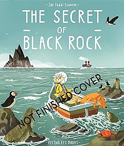 The Secret of Black Rock (Hardcover)