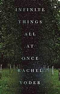 Infinite Things All at Once (Paperback)