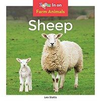 Sheep (Library Binding)