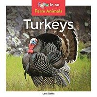 Turkeys (Library Binding)