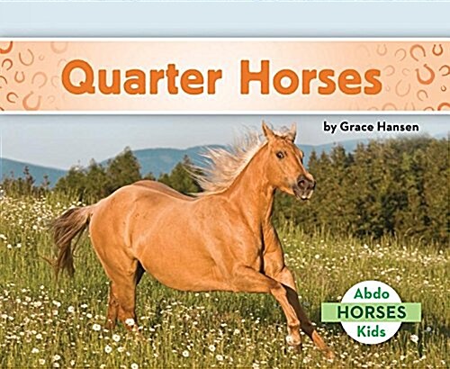 Quarter Horses (Library Binding)