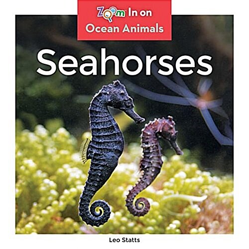 Seahorses (Library Binding)