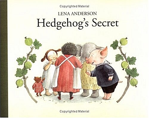 Hedgehogs Secret (Hardcover)