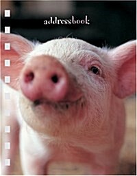 Piglets Address Book (Hardcover, POC)
