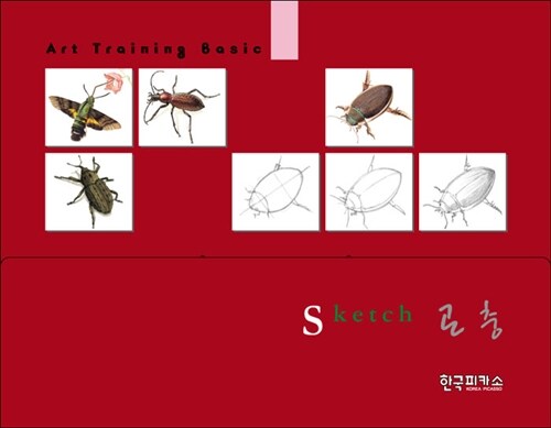 [중고] Sketch 곤충