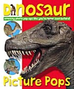 Dinosaur Picture Pops (Pop-Up) (Hardcover)