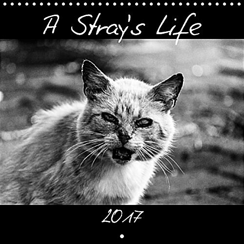 A Strays Life 2017 : Outtakes of a Photo Story About a Clowder of Feral Cats. (Calendar)