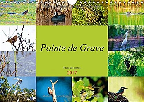Pointe de Grave - Faune des marais 2017 : Un petit apercu de la faune des marais de la Pointe de Grave (Calendar)