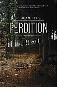 Perdition: A Novel of Suspense (Paperback)