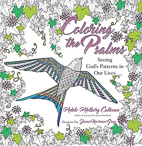 Coloring the Psalms: Seeing Gods Patterns in Our Lives (Paperback)