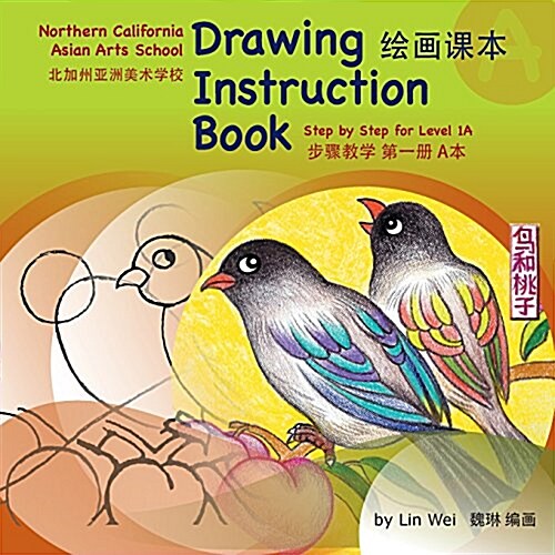 Drawing Instruction Book (Paperback)