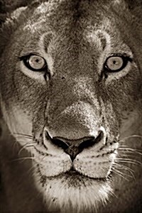 Lioness in Black and White Journal: 150 Page Lined Notebook/Diary (Paperback)