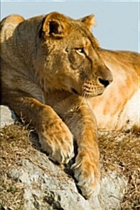 The Lioness Journal: 150 Page Lined Notebook/Diary (Paperback)