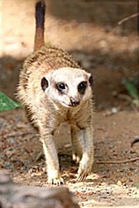 The Meerkat Approaches Journal: 150 Page Lined Notebook/Diary (Paperback)