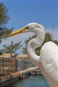 Great Egret in Florida, Birds of the World: Blank 150 Page Lined Journal for Your Thoughts, Ideas, and Inspiration (Paperback)