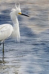 Snowy Egret Wading in Florida: Blank 150 Page Lined Journal for Your Thoughts, Ideas, and Inspiration (Paperback)