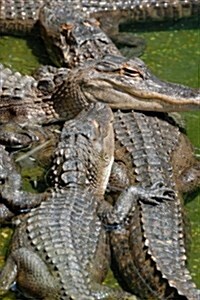 American Alligator Pileup, for the Love of Animals: Blank 150 Page Lined Journal for Your Thoughts, Ideas, and Inspiration (Paperback)