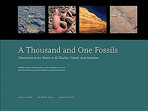 A Thousand and One Fossils: Discoveries in the Desert at Al Gharbia, United Arab Emirates (Hardcover)
