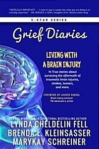 Grief Diaries: Living with a Brain Injury (Paperback)