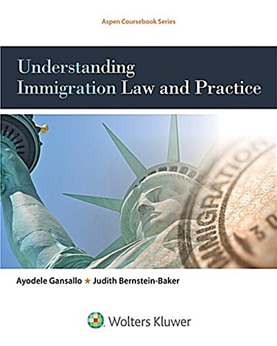 Understanding Immigration Law and Practice (Paperback)