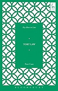 Key Ideas in Tort Law (Paperback)