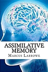 Assimilative Memory (Paperback)