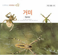거미=Spider