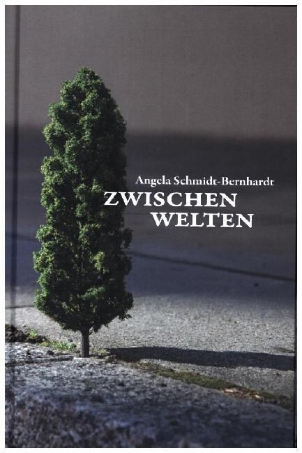 Zwischenwelten (Hardcover)