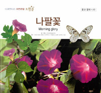 나팔꽃 =Morning glory 