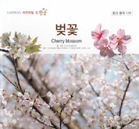 벚꽃=Cherry blossom