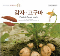 감자·고구마 =Potato & sweet potato 
