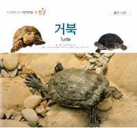 거북 =Turtle 