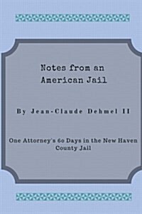Notes from an American Jail: One Attorneys Sixty Days in the New Haven County Jail (Paperback)