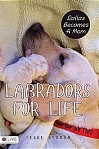 Labradors for Life: Dallas Becomes a Mom (Paperback)